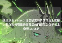 绝地求生（PUBG）饰品鉴赏与价值评估全攻略，教你如何看懂饰品背后的门道怎么在手机上查看pubg饰品