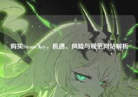 购买Steam Key，机遇、风险与规范网站解析