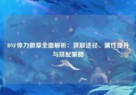 DNF体力徽章全面解析：获取途径、属性提升与搭配策略