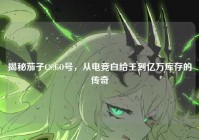 揭秘茄子CS:GO号，从电竞白给王到亿万库存的传奇