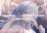 告别漫长等待，Steam拷贝PUBG游戏文件的终极指南与实战技巧