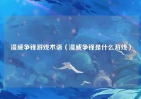 漫威争锋游戏术语（漫威争锋是什么游戏）