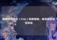 解锁绝地求生（PUBG）极限画质，畅享极致视觉体验