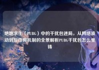 绝地求生（PUBG）中的干扰包迷局，从网络波动到反作弊机制的全景解析PUBG干扰包怎么重铸