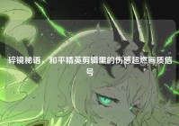 碎镜秘语，和平精英剪辑里的伤感超燃画质信号