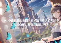 CSGO中低端局众生相，在枪法与意识的夹缝中寻找快乐，最低段位是D吗？