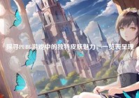 探寻PUBG游戏中的独特皮肤魅力，一览表呈现