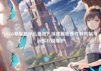 CS:GO举报是什么意思？深度解析反作弊机制与玩家权益维护