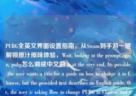 PUBG全英文界面设置指南，从Steam到手游一键解锁原汁原味体验，Wait, looking at the prompt again, pubg怎么调成中文的 is at the very end. Its possible the user wants a title for a guide on how to change it to Chinese, but the provided text describes an English guide. Or, the user is ask