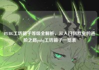 PUBG工坊箱子等级全解析，从入门到欧皇的进阶之路pubg工坊箱子一览表