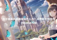 和平精英开录像掉帧怎么办？深度解析原因与终极解决方案