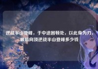 逆战半山登峰，于中途困顿处，以此身为刃，破局向顶逆战半山登峰多少钱