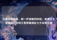 王者荣耀滑盖，那一声清脆的咔哒，是通往王者峡谷的密钥王者荣耀滑轮大小设置在哪