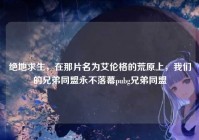 绝地求生，在那片名为艾伦格的荒原上，我们的兄弟同盟永不落幕pubg兄弟同盟