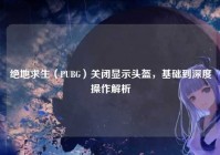 绝地求生（PUBG）关闭显示头盔，基础到深度操作解析