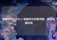 绝地求生（PUBG）电脑优化设置攻略，畅享流畅吃鸡