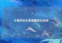 小星仔的王者荣耀奇幻征程