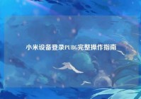 小米设备登录PUBG完整操作指南