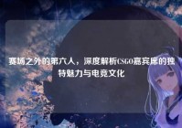赛场之外的第六人，深度解析CSGO嘉宾席的独特魅力与电竞文化