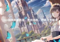 CSGO国内外服务器，差异剖析、影响及发展走向