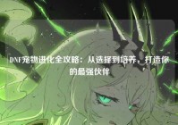 DNF宠物进化全攻略：从选择到培养，打造你的最强伙伴