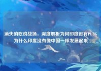 消失的吃鸡战场，深度解析为何印度没有PUBG为什么印度没有像中国一样发展起来