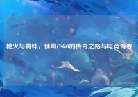 枪火与羁绊，佳哥CSGO的传奇之路与电竞青春