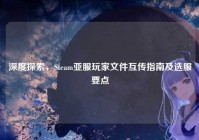 深度探索，Steam亚服玩家文件互传指南及选服要点