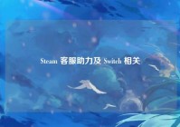 Steam 客服助力及 Switch 相关