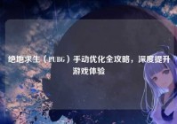 绝地求生（PUBG）手动优化全攻略，深度提升游戏体验