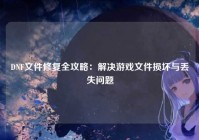 DNF文件修复全攻略：解决游戏文件损坏与丢失问题