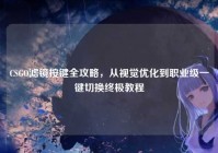 CSGO滤镜按键全攻略，从视觉优化到职业级一键切换终极教程