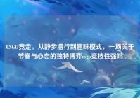 CSGO竞走，从静步潜行到趣味模式，一场关于节奏与心态的独特博弈csgo竞技性强吗