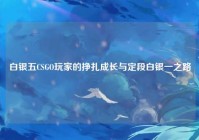 白银五CSGO玩家的挣扎成长与定段白银一之路