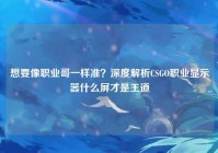 想要像职业哥一样准？深度解析CSGO职业显示器什么屏才是王道