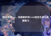 枪火传奇Coco，深度解析其CS:GO竞技生涯与直播魅力