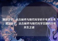 潮汐王子，远古秘术与现代科学的千年共生术，潮汐王子，远古秘术与现代科学交融的千年共生之谜