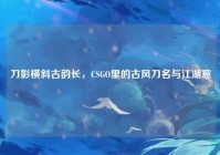 刀影横斜古韵长，CSGO里的古风刀名与江湖意