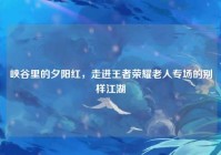 峡谷里的夕阳红，走进王者荣耀老人专场的别样江湖