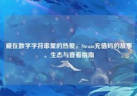 藏在数字字符串里的热爱，Steam充值码的故事、生态与查看指南