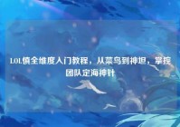 LOL慎全维度入门教程，从菜鸟到神坦，掌控团队定海神针