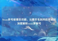 Steam多号管理全攻略，从薅羊毛到风险规避的深度解析steam多账号