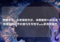 绝地求生，从绝境到生还，深度解析PUBG应急救援包的战术价值与生存哲学pubg紧急救援包