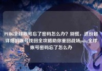 PUBG全球账号忘了密码怎么办？别慌，这份超详细的账号找回全攻略助你重回战场pubg全球账号密码忘了怎么办