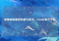 屏幕硝烟里的热爱与坚守，CSGO玩家沙子哥