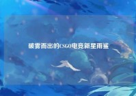 破雾而出的CSGO电竞新星雨鲨