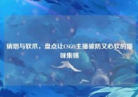 硝烟与软爪，盘点让CSGO主播破防又心软的猫咪集锦