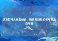 银发族闯入王者峡谷，腾讯游戏里的老年新生态观察
