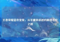 王者荣耀蓝色变紫，从平庸到卓越的巅峰进阶之路