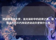 逆战黄金动天使，流光溢彩中的战神之翼，极致火力的不朽传说逆战动天使有什么用